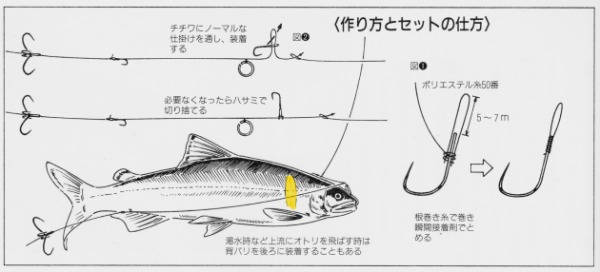 鮎釣り 名人 図解 北の釣り モンちゃんの釣りバカ日誌