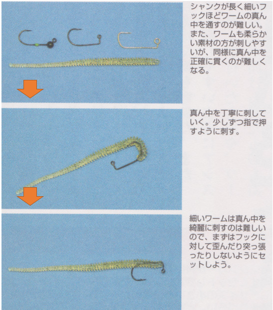 ソフトルアーの選び方 ソルトフィッシング 図解 北の釣り モンちゃんの釣りバカ日誌