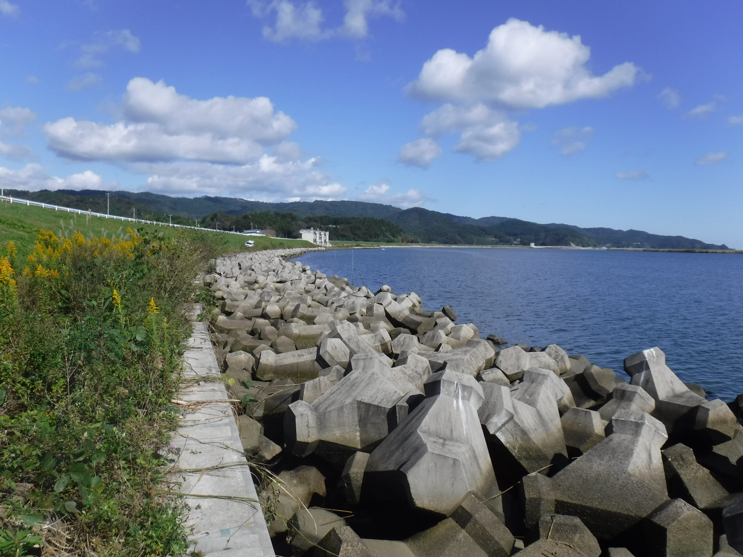 ハゼ釣り　　追波川　　月浜第一水門