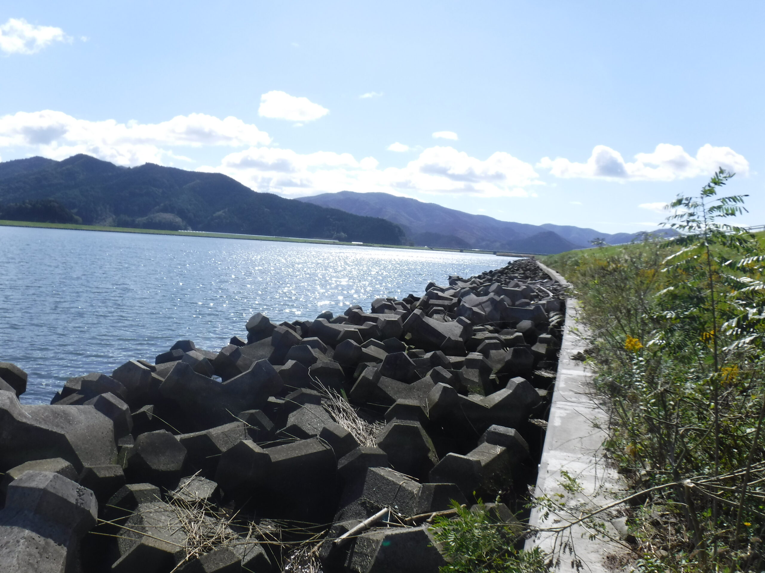 ハゼ釣り　　追波川　　月浜第一水門