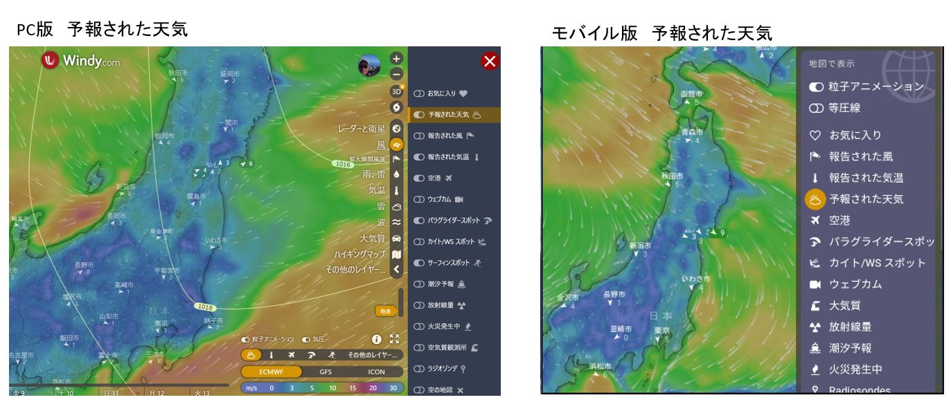windy 予報された天気　（Focasted weather）