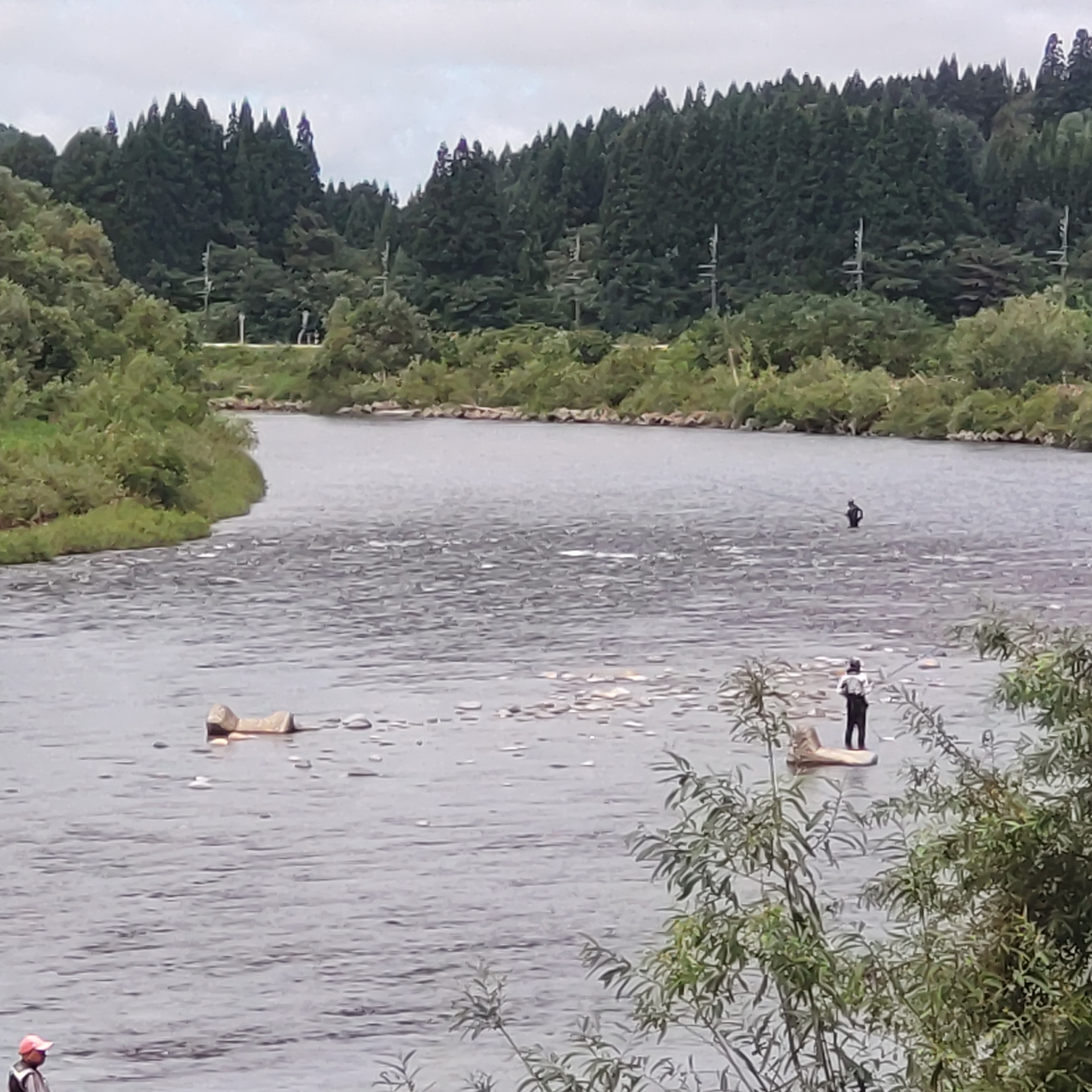 阿仁川　桂瀬橋　　鮎釣り